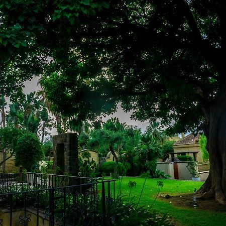 Villa Medina Cefalù Eksteriør billede